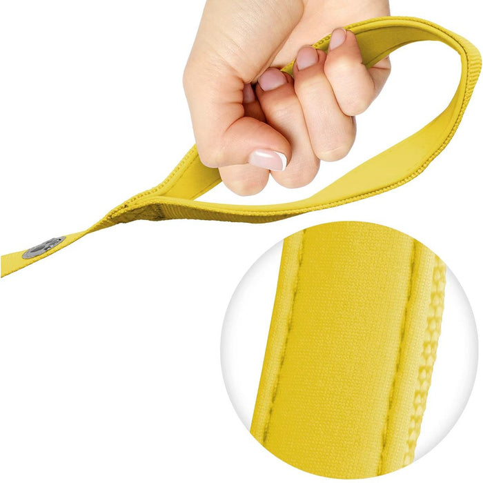 iGadgitz Home Padded Dog Lead, Padded Handle Dog Lead, Padded Dog Leash