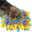 iGadgitz Home U7174 Dog Snuffle Mat, Dog Treat Dispenser Mat, Dog Sniffing Mat, Dog Puzzle Mat - Multi-coloured