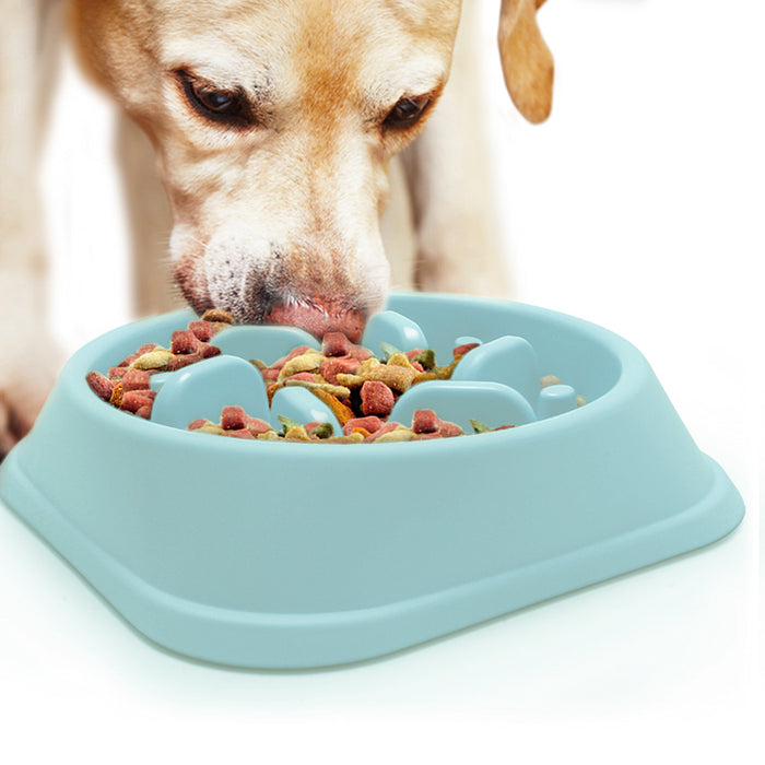 WHIPPY Large Slow Feeder Dog Bowls for Large Medium Dogs Anti-Chocking Slow  Feeding Maze Dog Food Bowl Slow Eating Interactive Bloat Stop Puzzle