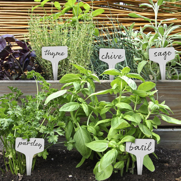 plant pot labels iGadgitz Home Waterproof Plant Labels Durable Garden Labels Plastic Pl — INNOV8 GB Ltd